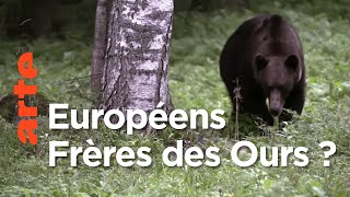 L'ours brun, respecté ou mal aimé en Europe ?