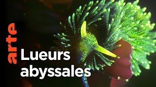Merveilles nordiques : les fjords de Norvège