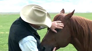 Quand les chevaux murmurent à l'oreille des hommes