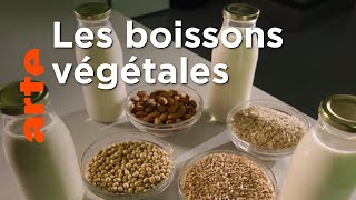 Une concurrence pour le lait de vache ?