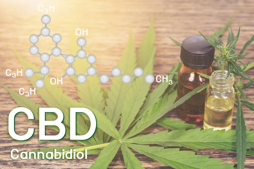 Documentaire Quels sont les avantages que présente l’utilisation du CBD ?