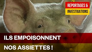 Documentaire Assiette tous risques – Manger peut nuire à la santé