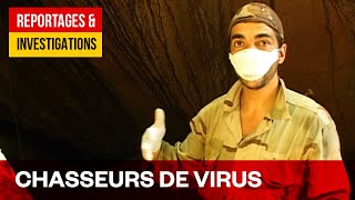 Documentaire Chasseurs de virus – trouver l’invisible au cœur de la forêt Amazonienne