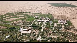 Chine, des arbres contre le désert !