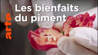 Comment soigner le mal par le mal ?