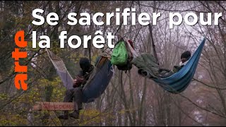 Des militants au secours de la forêt