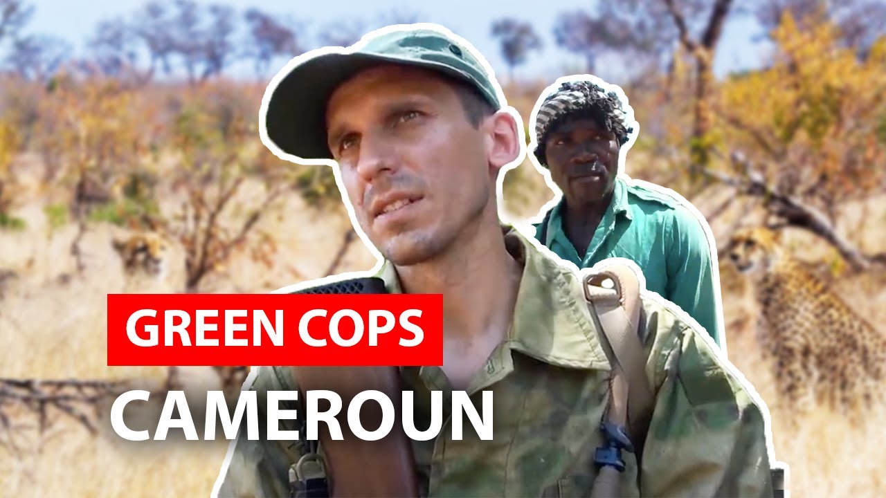 Documentaire Green Cops, les gardiens de la planète : Cameroun