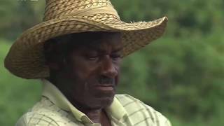 Guadeloupe, le meilleur rhum du monde !