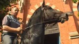 L’Ermitage du selle russe : le haras de Starojilov
