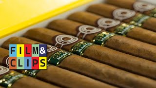 La fabuleuse histoire du cigare