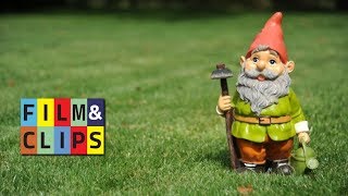 La fabuleuse histoire du nain de jardin