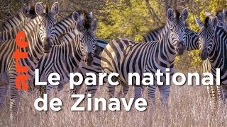 Documentaire Le grand repeuplement de Zinave au Mozambique | Les nouveaux mondes sauvages