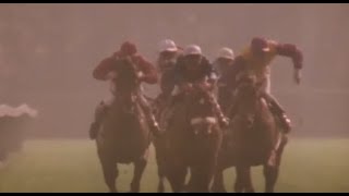 Le signe du cheval - Les courses