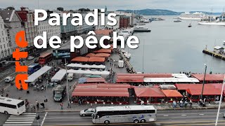 Documentaire Le ventre de Bergen | Le marché aux poissons