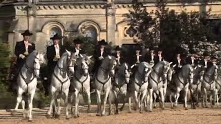 Documentaire L’école royale andalouse d’art équestre