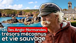 Les Îles Anglo-Normandes, trésors méconnus et vie sauvage