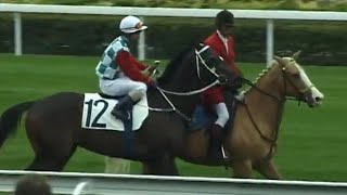 Les écuries du Hong Kong Jockey Club