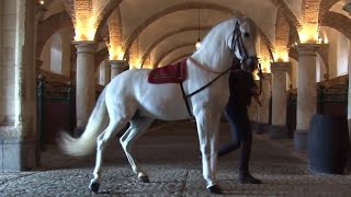 Les écuries royales de Philippe II