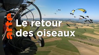 Paradis naturels retrouvés