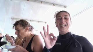 Plongée sur l'île aux requins