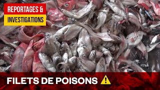 Documentaire Poissons toxiques, élevage en eaux troubles – Enquête sur l’alimentation « saine »