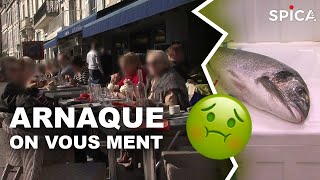 Documentaire Restaurant : la grande arnaque des poissons