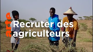 Sénégal : la téléréalité au service de l’agriculture