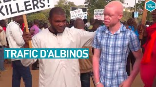 Trafic d'Albinos