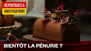 Y aura-t-il du chocolat à Noël ? – Le cacao bientôt en pénurie ?