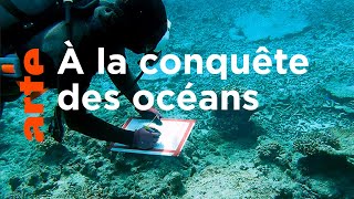 Documentaire À qui appartiennent les océans ?