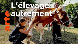 Agir pour le bien-être animal
