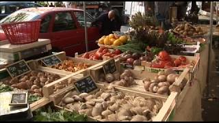 Documentaire Cuisine : régalez-vous des champignons sans vous ruiner !