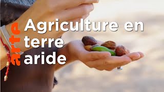 Cultiver malgré la sécheresse