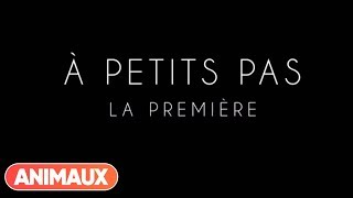 Documentaire A Petits Pas – Episode 3: la première