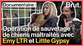 Documentaire Au secours de chiens maltraités avec 30 millions d’amis