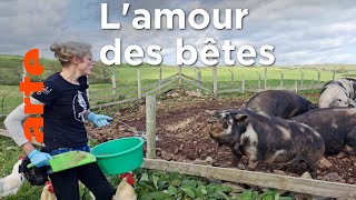 Documentaire En Écosse, un hospice pour animaux