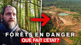 Documentaire Forêts en danger : que fait l’Etat ?