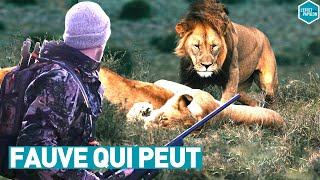 La chasse en mode facile