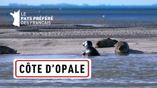 La Côte d'Opale, des Deux-Caps aux marais de Saint-Omer