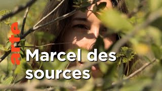 Documentaire La Provence de Marcel Pagnol  | Invitation au voyage