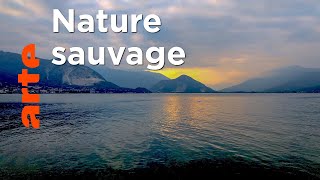 Le Lac Majeur | Par delà les Alpes