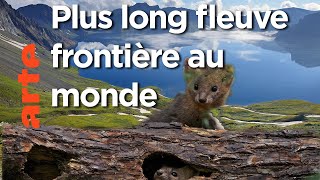 Le dragon noir | Amour, le fleuve interdit