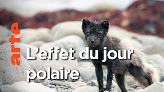 Le retour de la lumière | Terres sauvages du Grand Nord