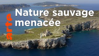 Documentaire Les îles italiennes | Îles Tremiti