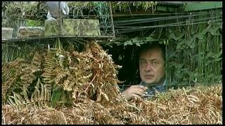 Les secrets de la chasse à la palombe