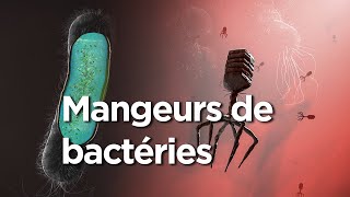 L'incroyable histoire des tueurs de bactéries