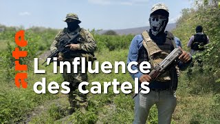 Mexique : coronavirus, la fièvre sociale des narcos