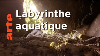 Palawan, la rivière mystérieuse | Dans le secret des sources