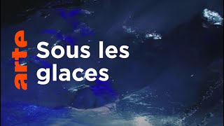 Que révèlent les glaces éternelles ?