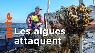 Documentaire Une menace pour les pêcheurs